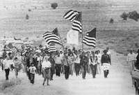 marsz protestacyjny Nawahów